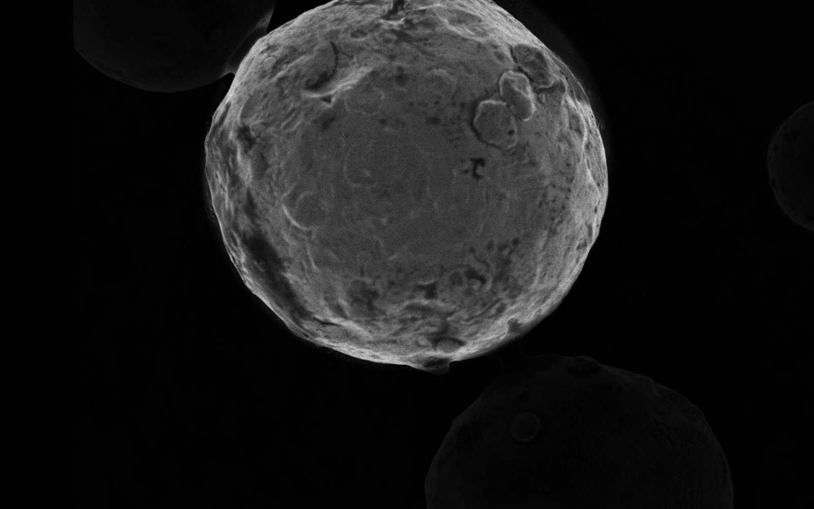 SEM image of a single gas-atomized steel powder particle, showing its solidification surface